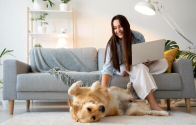 Pet Hair - Wipedy Cleaning Service