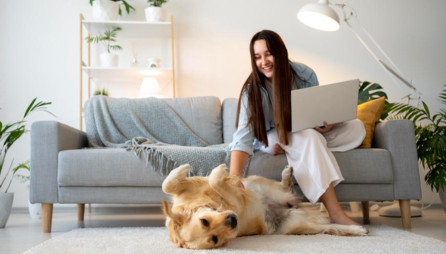 Pet Hair - Wipedy Cleaning Service